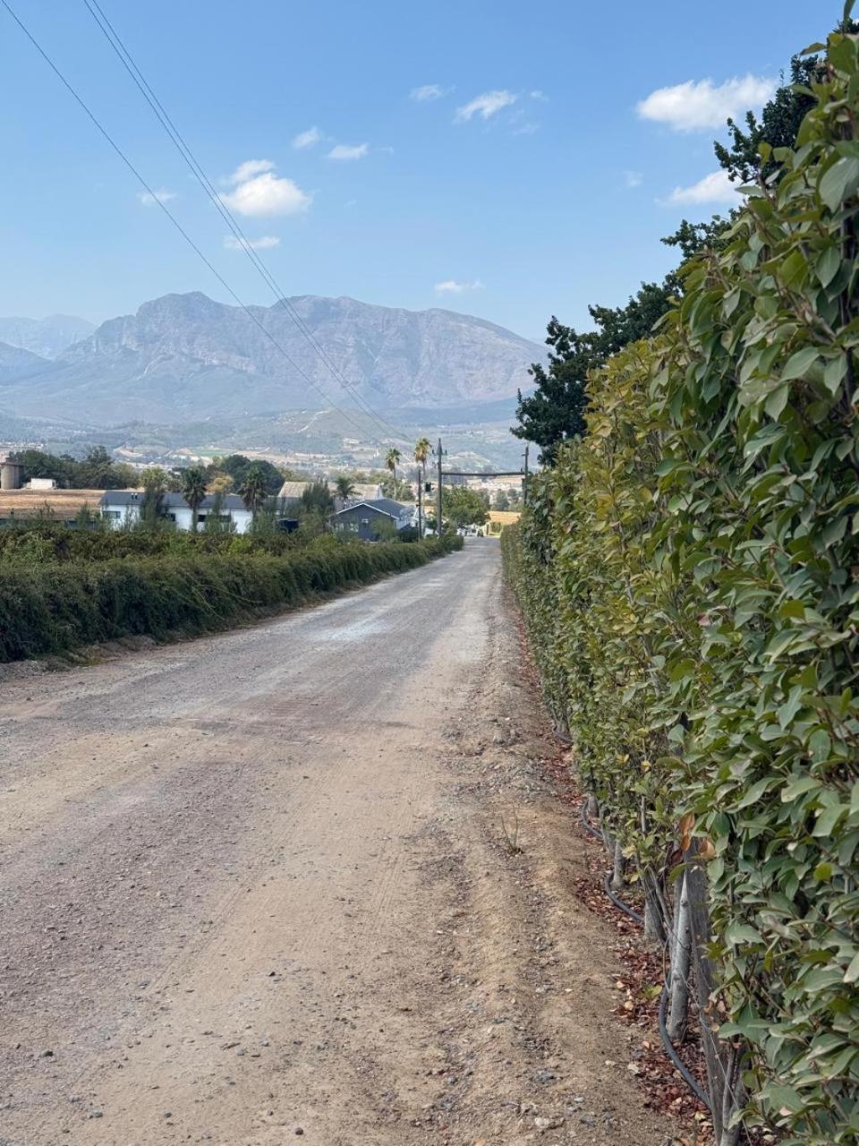 Middelplaas Paarl Guesthouse Luaran gambar