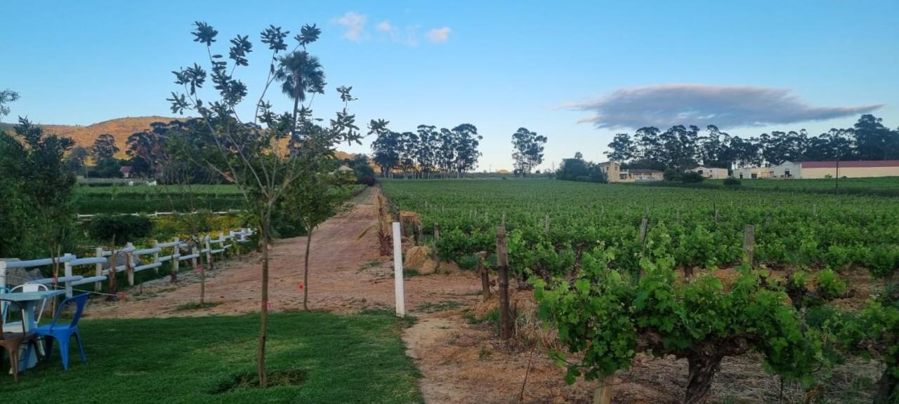 Middelplaas Paarl Guesthouse Luaran gambar