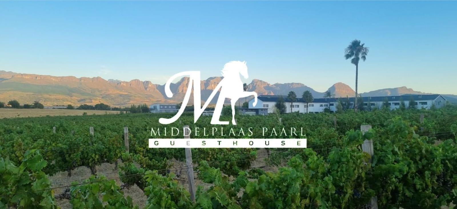 Middelplaas Paarl Guesthouse Luaran gambar