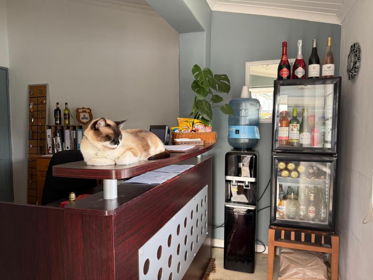 Middelplaas Paarl Guesthouse Luaran gambar